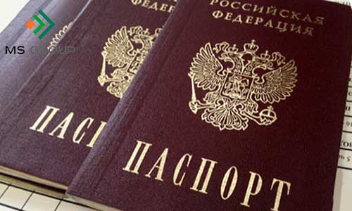 В Госдуме рассматривают закон об упрощении получения Российского гражданства